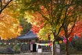 Magoksa Buddhist temple shrine in autumn, South Korea Royalty Free Stock Photo