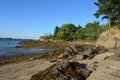 Brilliant Beach with Rocks Strewn About in Maine