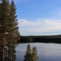 Beautiful late summer day in Norrbotten Royalty Free Stock Photo