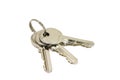Brilliant bunch of keys to the doors Royalty Free Stock Photo