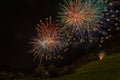 Brilliant and colorful fireworks above a wooded hill Royalty Free Stock Photo