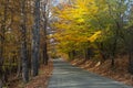 Autumn foliage light up the backroads of Vermont. Royalty Free Stock Photo
