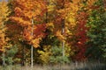 Brilliant colors adorn autumn foliage in New England.