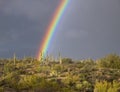 Brilliant Colored Desert Rainbow Near Scottsdale,AZ Royalty Free Stock Photo