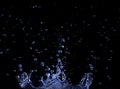 brilliant drops transparent water on black