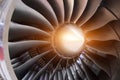 Brilliant engine jet large blades on an airplane turbine