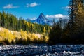 Brilliant fall foliage Flathead River in Montana Royalty Free Stock Photo