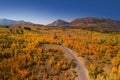 Brilliant fall foliage in Mt Nebo wilderness area Royalty Free Stock Photo