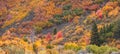 Brilliant fall foliage at Provo Canyon in Utah