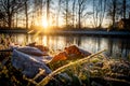 Brilliant fall foliage with yellow and green leaves showing the white frost and ice, sunrise in a forest in autumn or Royalty Free Stock Photo