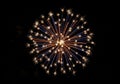 A brilliant firework explodes against a Royalty Free Stock Photo