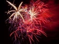 Brilliant Fireworks Royalty Free Stock Photo