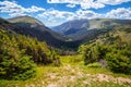 Brilliant Green Panoramic Views from the Old Fall River Road, Rocky Mountain National Park, Colorado Royalty Free Stock Photo