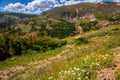 Brilliant Green Panoramic Views from the Old Fall River Road, Rocky Mountain National Park, Colorado Royalty Free Stock Photo