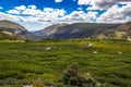 Brilliant Green Panoramic Views from the Old Fall River Road, Rocky Mountain National Park, Colorado Royalty Free Stock Photo