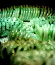 Brilliant jade bracelets Royalty Free Stock Photo
