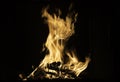 Brilliant orange fire blazing on firelogs, black background Royalty Free Stock Photo