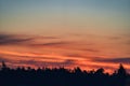 Brilliant orange sunrise, the sun shines through the trees in the nature reserve with three bird Royalty Free Stock Photo