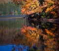 Brilliant orange tree reflection mirror water of Lake Logen, NC Royalty Free Stock Photo