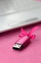 Brilliant pink usb flash memory card with a pink bow lies on a blanket of soft and furry light pink fleece fabric beside to a whi