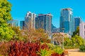 The Waterfront Park sits in front of the high rise buildings in San Diego, California Royalty Free Stock Photo