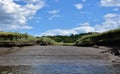 Brilliant Spring Day Along the Tidal Flats of North River Royalty Free Stock Photo