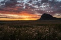 Brilliant Sunrise Light Over Badlands Field