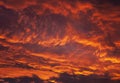 Brilliant sunset fire in the sky Royalty Free Stock Photo