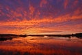 Brilliant Sunset Over Wetland Marsh Royalty Free Stock Photo