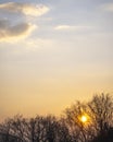 Brilliant vivid sunrise behind a curtain of leafless winter trees Royalty Free Stock Photo