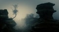 Brimham Rocks in the Fog