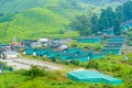 Brinchang village in Cameron Valley of tea plantations Malaysia Royalty Free Stock Photo