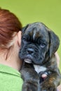 Brindle with white spots Boxer puppy lies on redhead woman shoulder on green background.