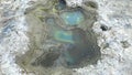 Brine flies, bacteria and algae in a pool at the Great Salt Lake, Utah Royalty Free Stock Photo