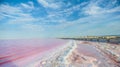 Brine and salt of a pink lake, colored by microalgae Dunaliella salina, famous for its antioxidant properties, enriching