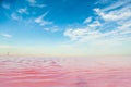 Brine and salt of a pink lake, colored by microalgae Dunaliella salina, famous for its antioxidant properties, enriching