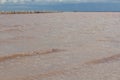 Brine and salt of a pink lake, colored by microalgae Dunaliella salina, famous for its antioxidant properties, enriching water by