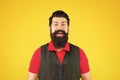 Bring bearded hair to next level. Bearded man yellow background. Happy hipster with smile on bearded face. Barbershop