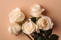 Beautiful white roses in a top view flat lay on a pastel beige backdrop: A perfect marketing shot, AI