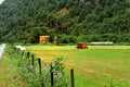 Bringing in the harvest in the Breheimen National Park