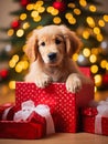 Bringing Joy: A Playful Pup Surprises with Gifts on a Cozy Backg Royalty Free Stock Photo