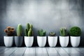 Bringing the Outdoors In: Up-Close with Various Potted Plants on a Concrete Wall