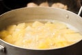 Bringing to readiness boiled potatoes diced. Aluminum pan