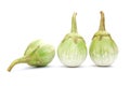 Brinjal Royalty Free Stock Photo