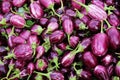 Brinjal Background Royalty Free Stock Photo