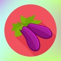 Brinjal flat icon. Eggplant sign.