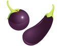 Brinjal Vector Illustration Royalty Free Stock Photo