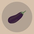 brinjal. Vector illustration decorative design Royalty Free Stock Photo