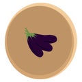 brinjal. Vector illustration decorative design Royalty Free Stock Photo