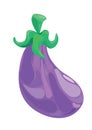 brinjal. Vector illustration decorative design Royalty Free Stock Photo